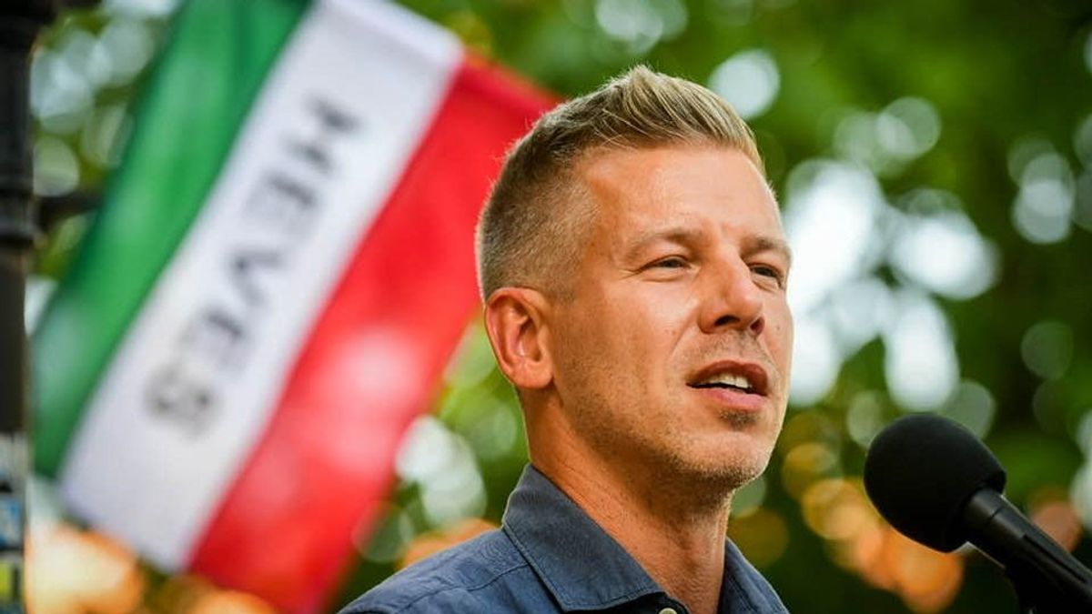 Tarr Zoltán szőrén-szálán eltűnt, levették a palettáról
