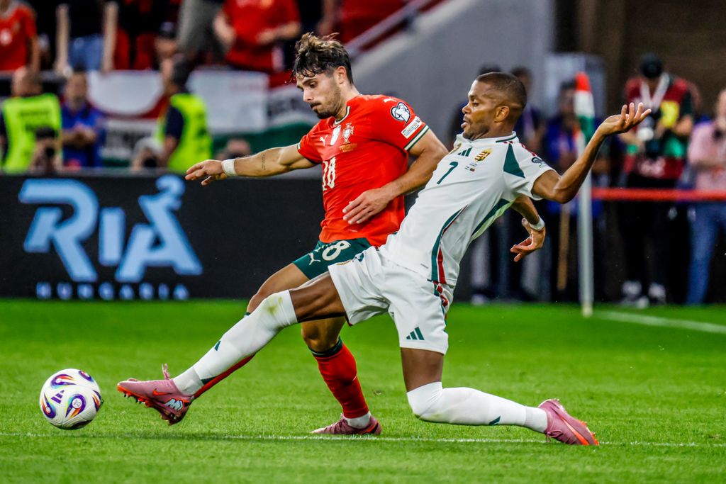 Magyarország - Portugália vb-selejtező 