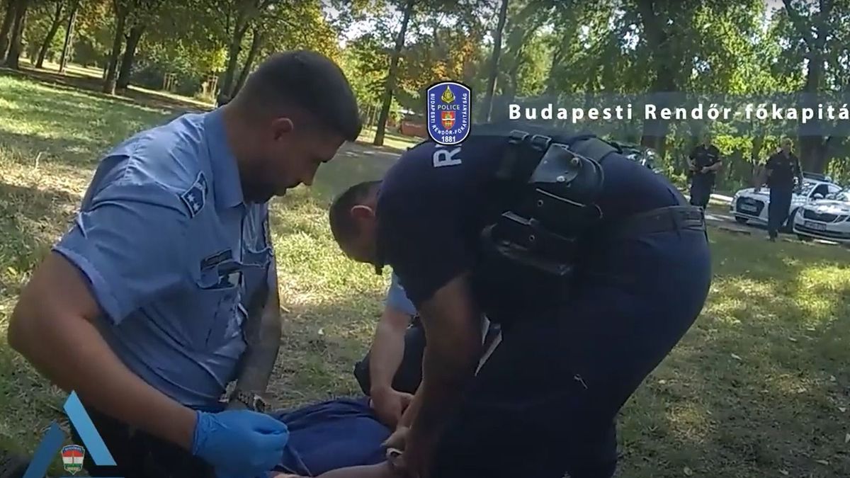 Filmbe illő jelenet a Népligetnél: befüvezett motoros menekült a rendőrök elől + videó