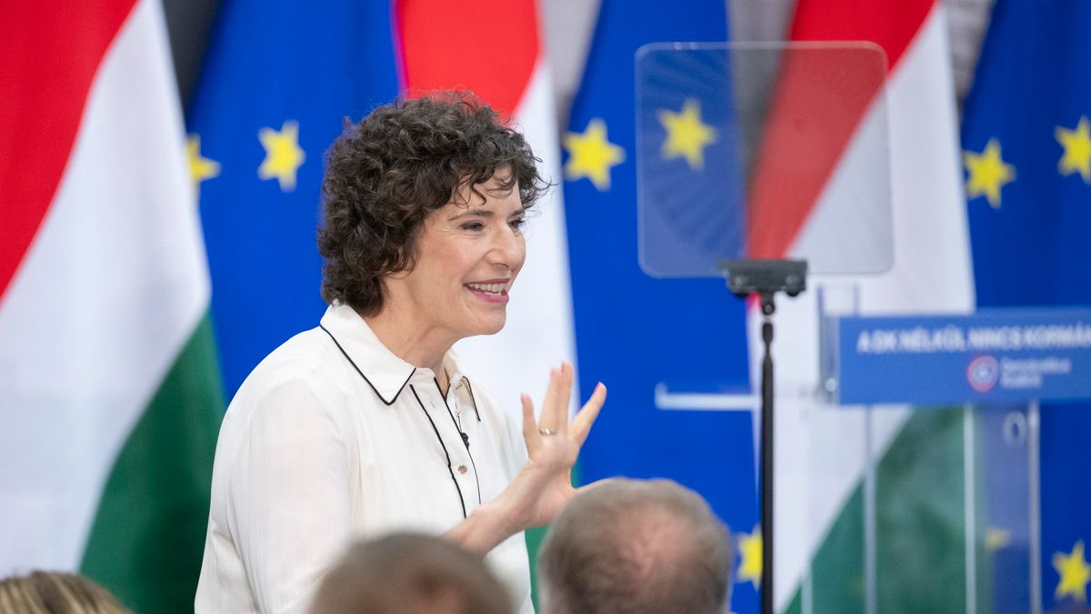 Országjárásra indul a DK, jelöltet állítanak az összes körzetben