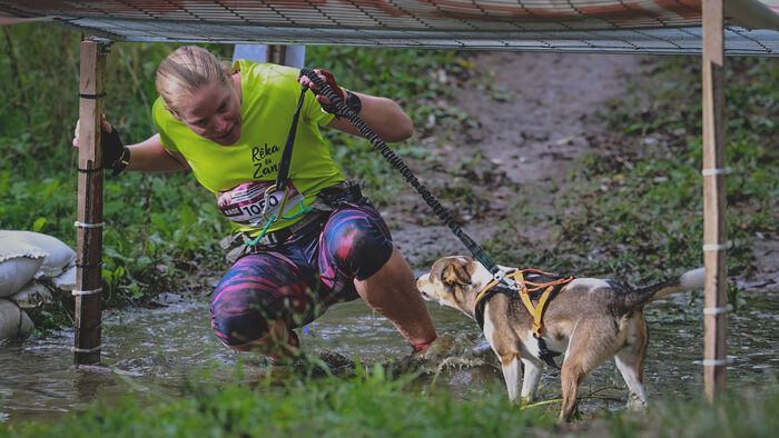 20250927 Babatvölgy HDR Hard Dog Race.  1200 gazdi teljesítette a 6,7 km terepfutást kutyájával 