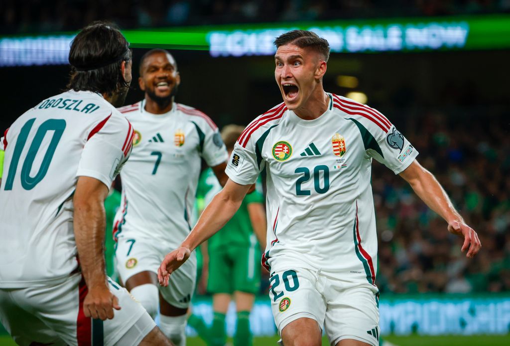 Írország-Magyarország VB selejtező
