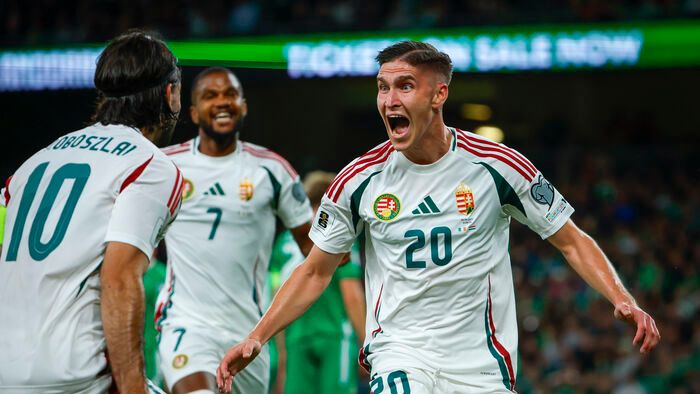 Írország-Magyarország VB selejtező