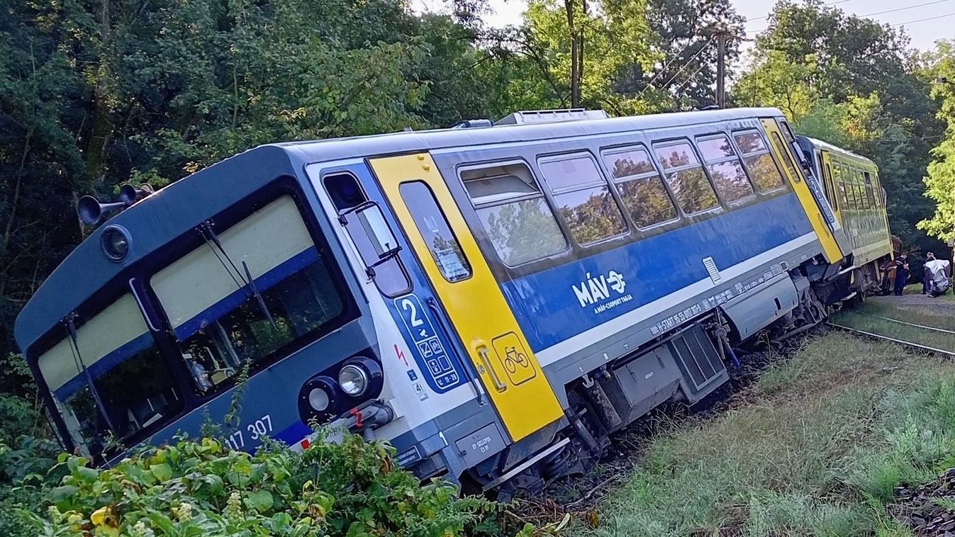 Kisiklott egy vonat több szerelvénye (Forrás: Facebook)