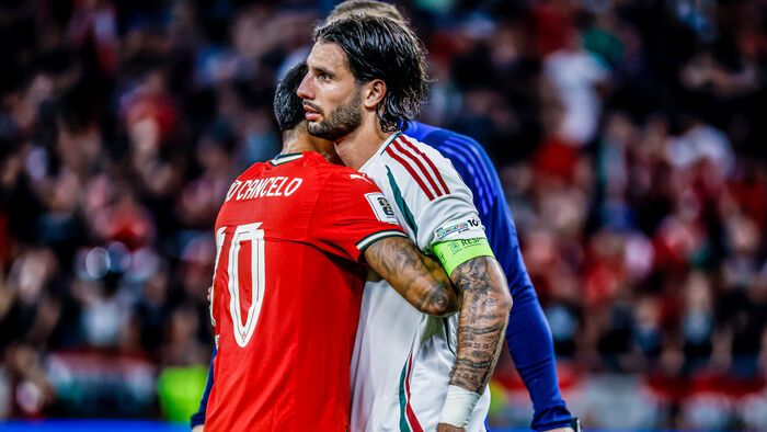 Magyarország - Portugália vb-selejtező 