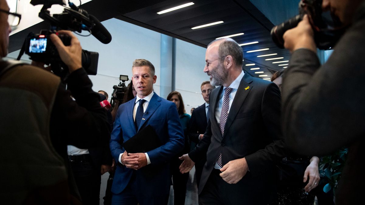 Menczer Tamás: Brüsszel fogja és vezeti Magyar Pétert + videó