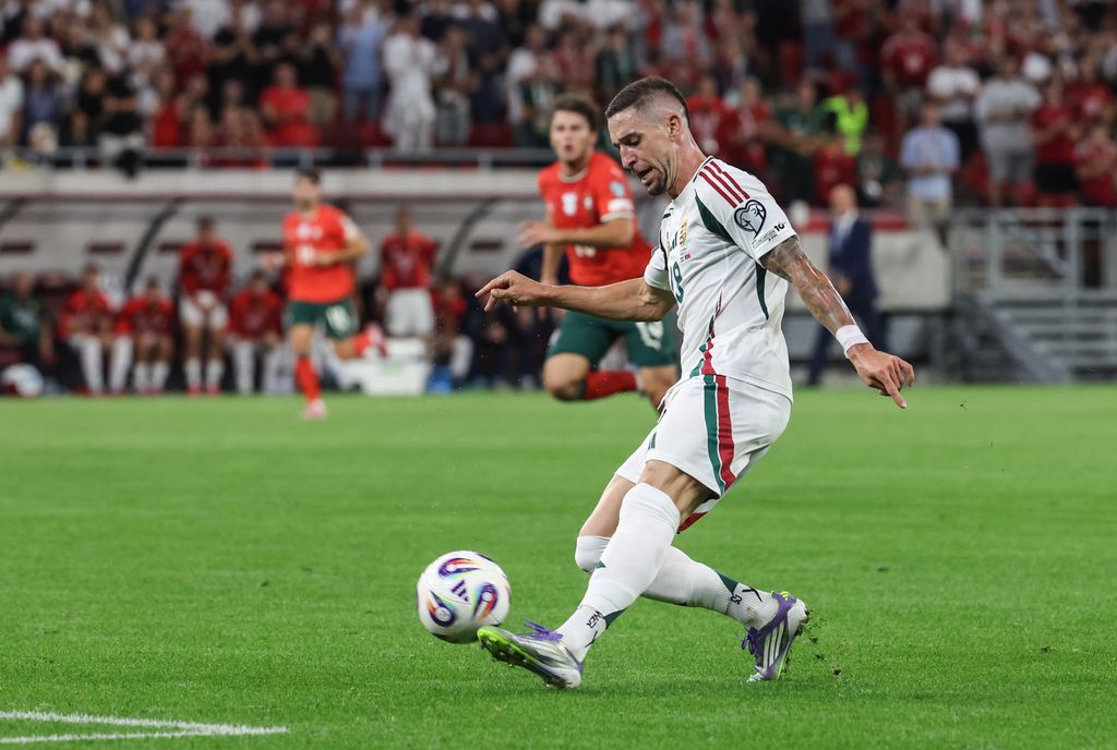 Magyarország - Portugália vb-selejtező Nagy Zsolt