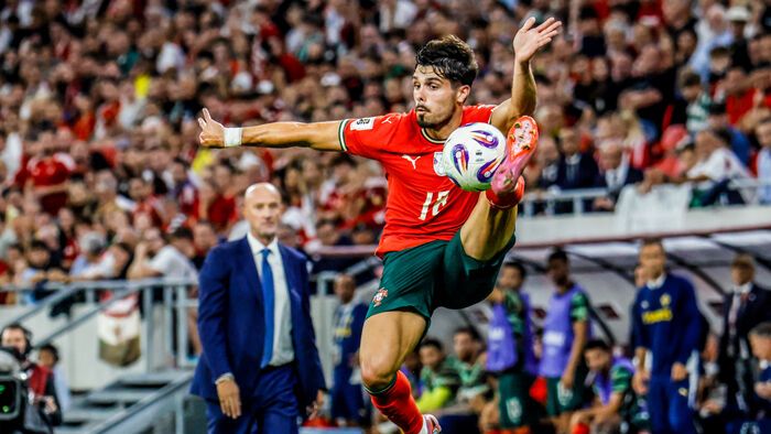 Magyarország - Portugália vb-selejtező 