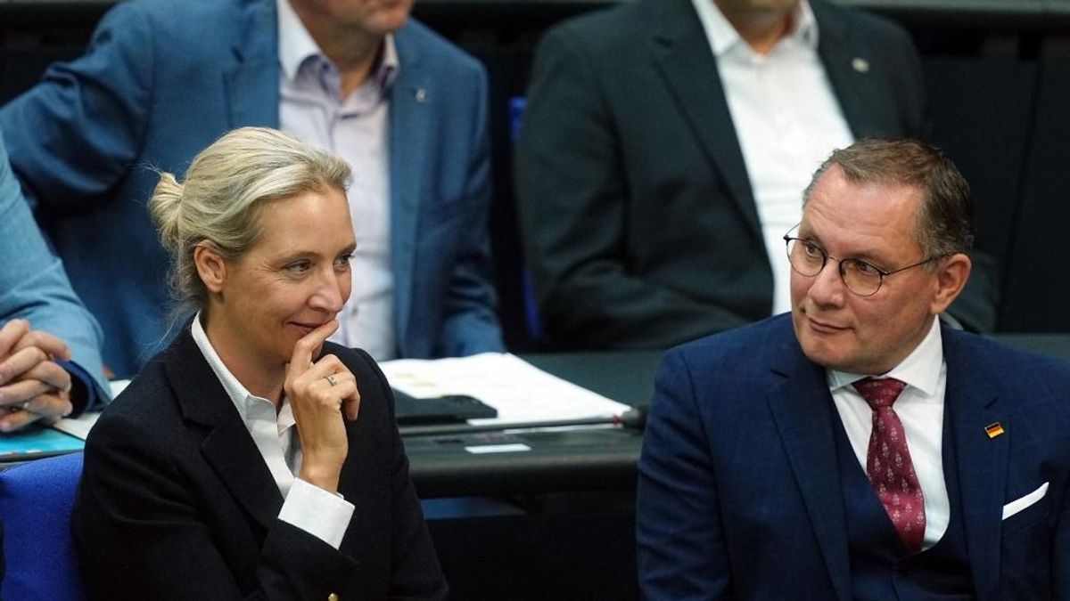 A német kormány temetné, de a felmérésekben rekordokat dönt az AfD