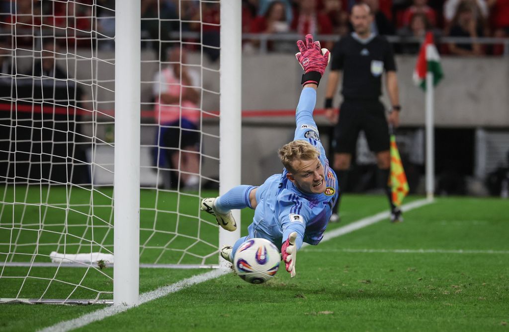 Magyarország - Portugália vb-selejtező 