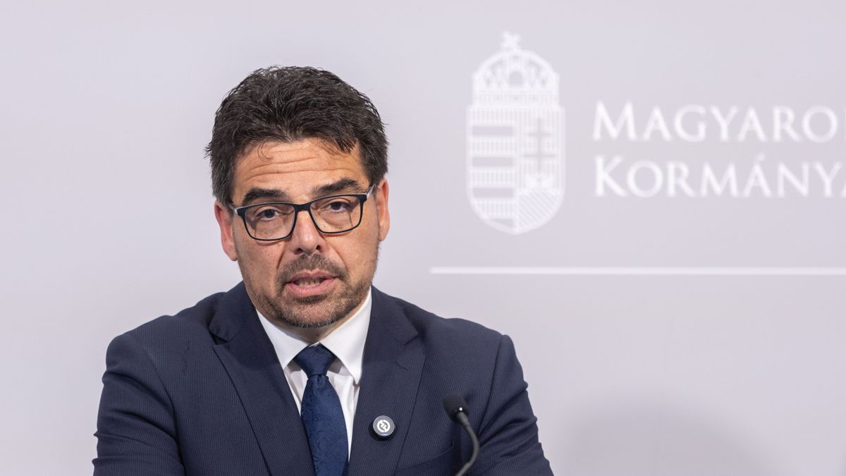 „Ha a Tisza Párt kerülne hatalomra, beengednék az illegális migránsokat”