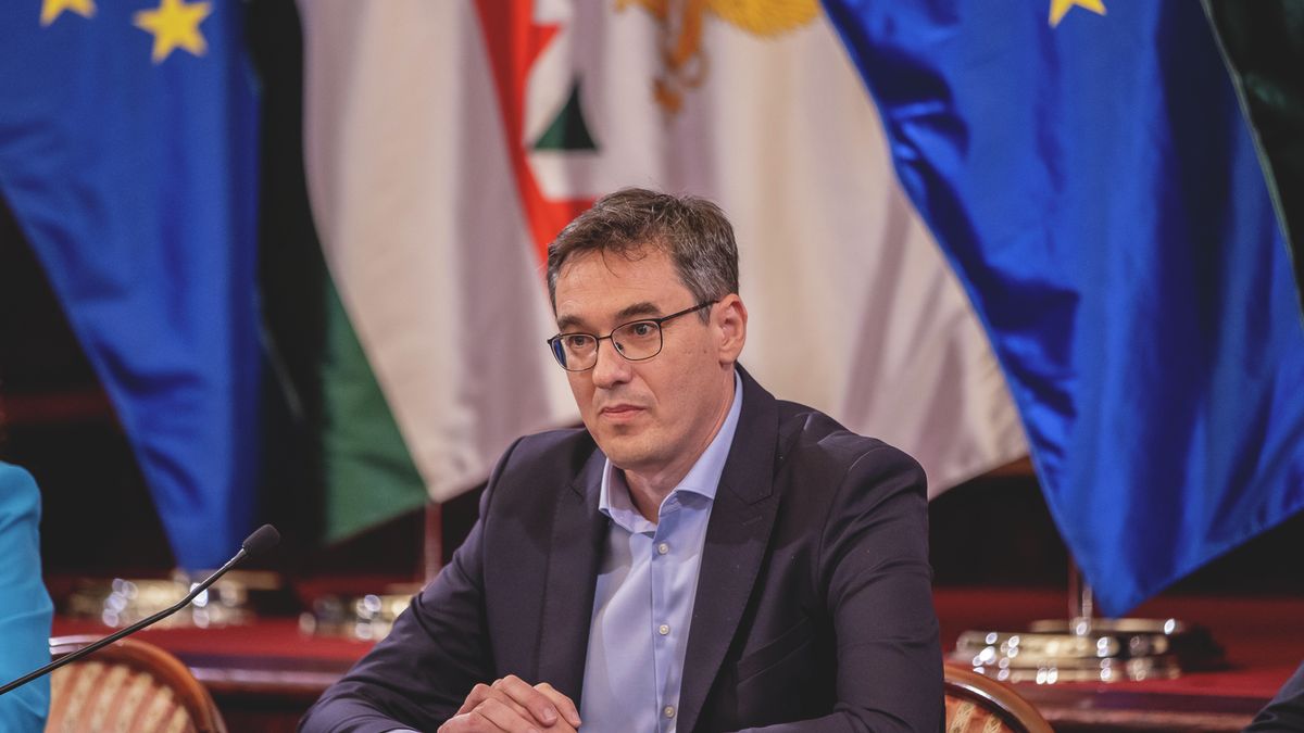 Lassan gyűlnek az adományok a Városmajor rendbetételére