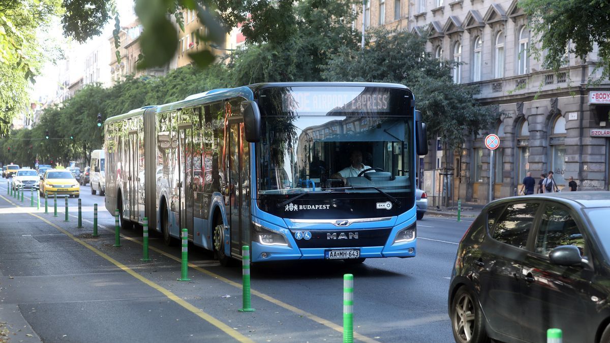 Ismét városüzemeltetési feladatokra költenék a lakosság ötleteire címkézett forrást Budapesten