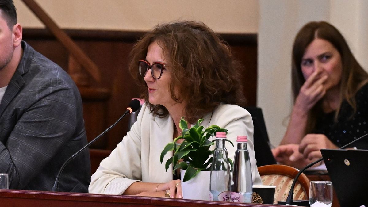 Kiderült a Tisza Párt nagy budapesti terve: megszüntetnék a kerületeket
