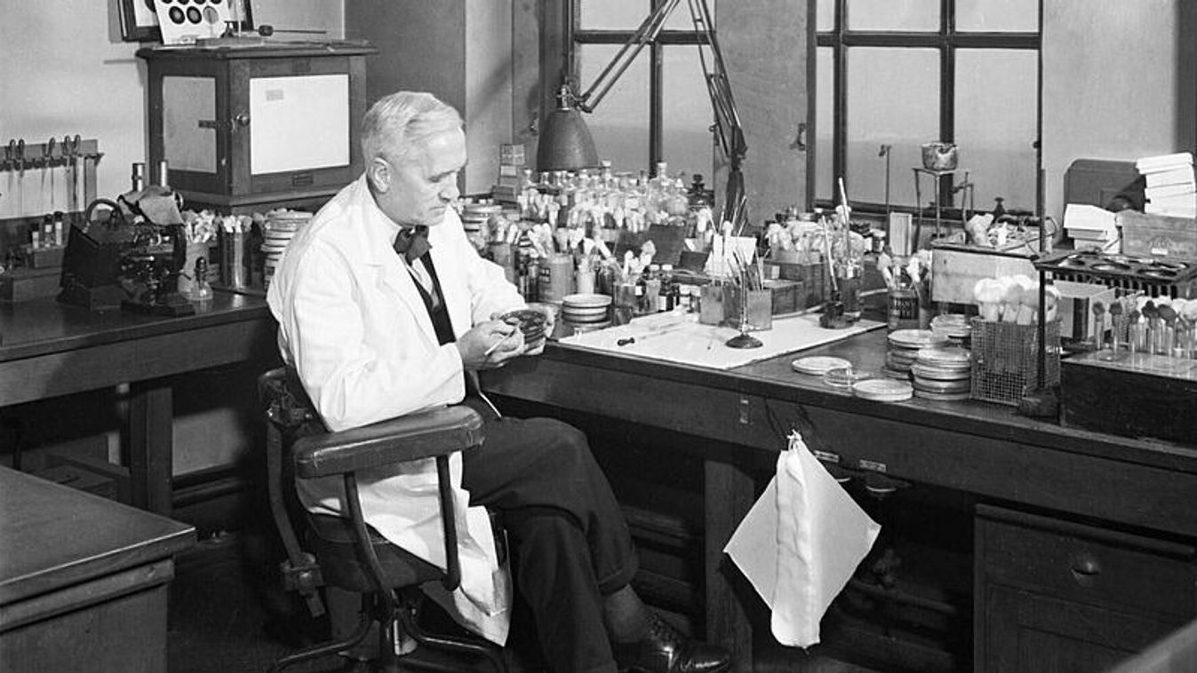 Fleming a laboratóriumában