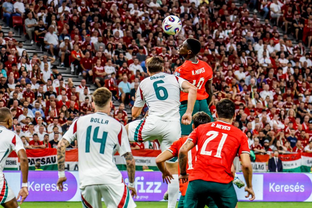 Magyarország - Portugália vb-selejtező 