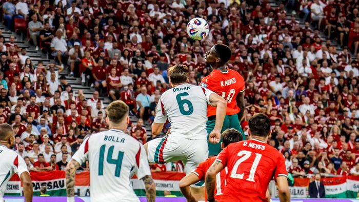 Magyarország - Portugália vb-selejtező 
