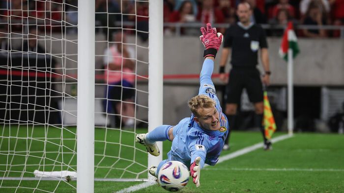 Magyarország - Portugália vb-selejtező 