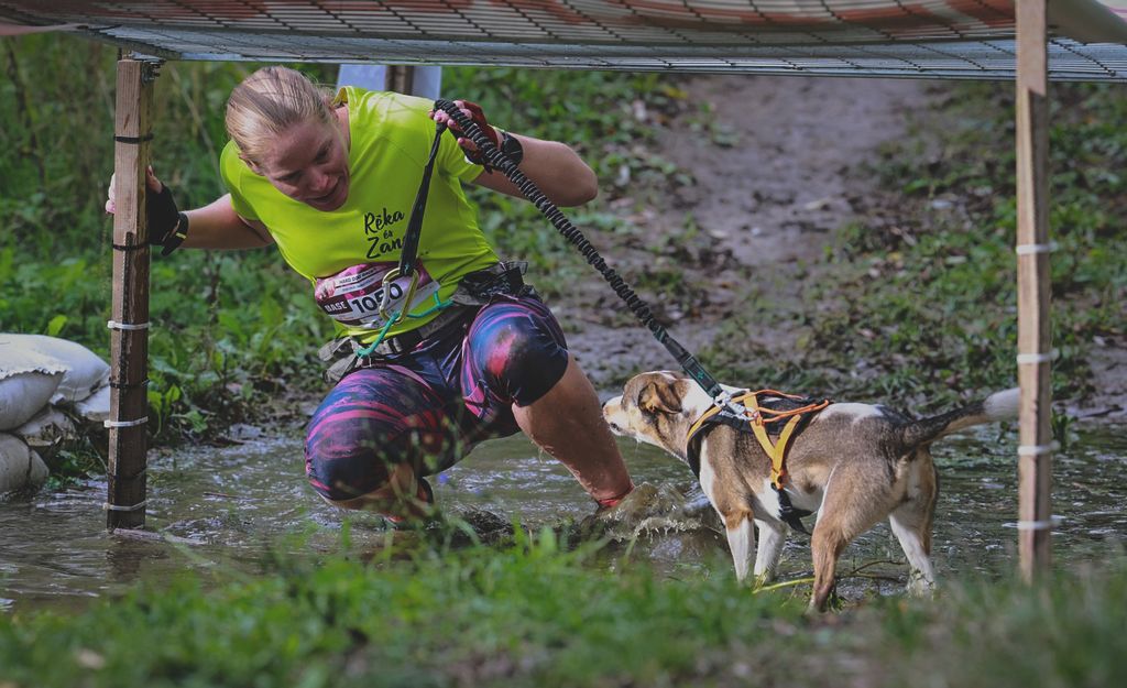 20250927 Babatvölgy HDR Hard Dog Race.  1200 gazdi teljesítette a 6,7 km terepfutást kutyájával 