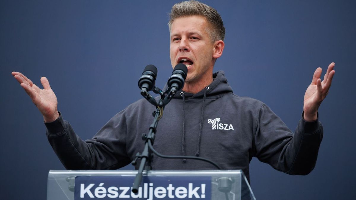 Bod Péter Ákos lehet a Tisza Párt egyik gazdasági szakértője