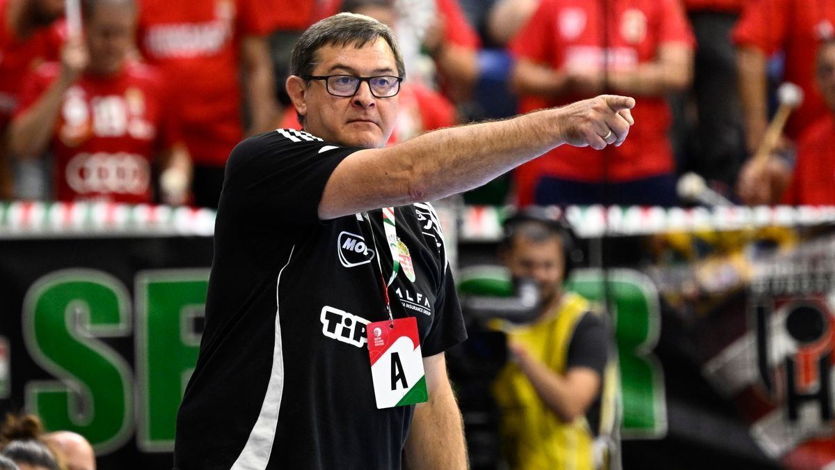 Golovin Vlagyimir újra elővette a „Schatzl-ügyet”, de mindent nem akar elmondani