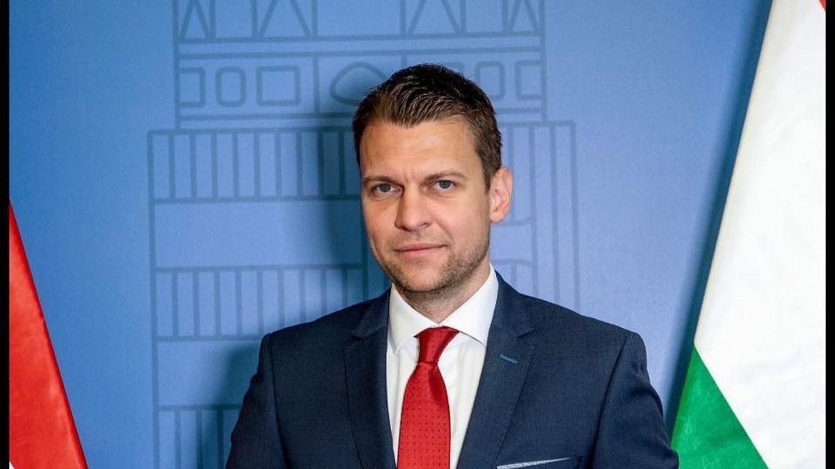 Menczer Tamás: Magtorlás következik