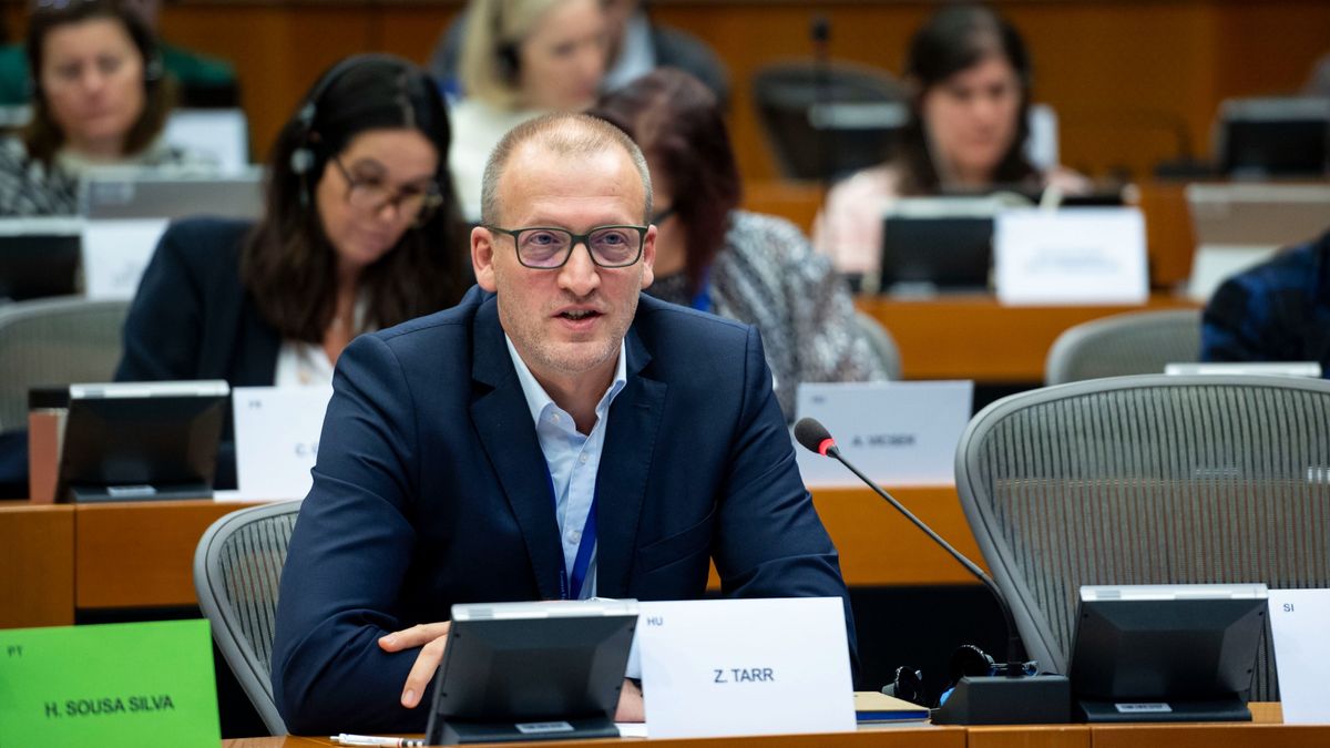 Így lesz a pékből közigazgatási szakértő – Tarr Zoltán vallomása a Tisza Párt valódi működéséről