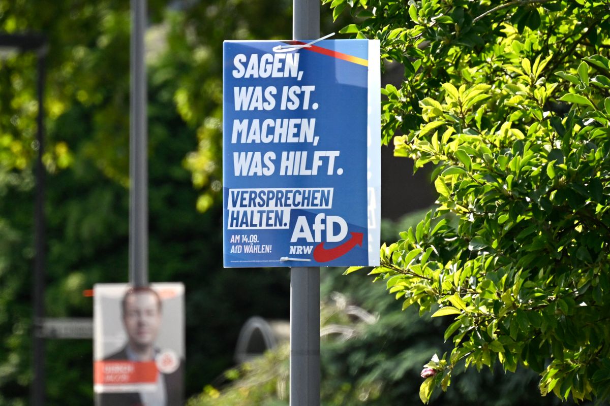 Elon Musk kiállt az AfD mellett: a vállalkozó szerint a német pártok öncenzúrája veszélyes, és csak az AfD mondhatja ki az igazat.