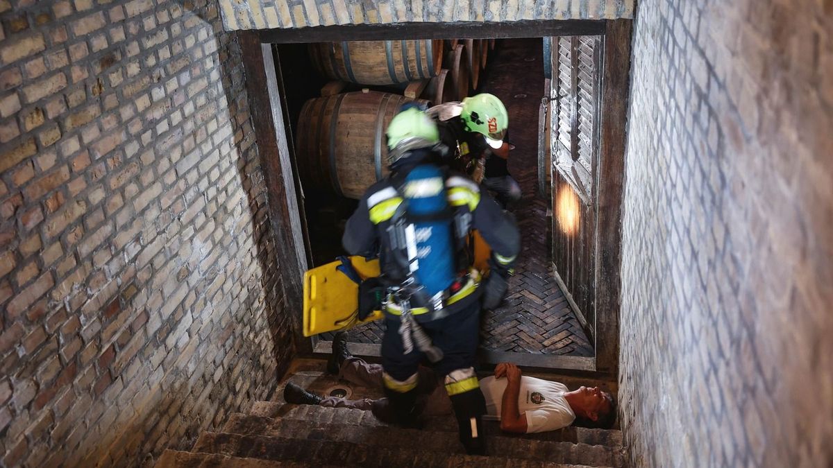 Alattomos gyilkos szedi óvatlan áldozatait a pincékben