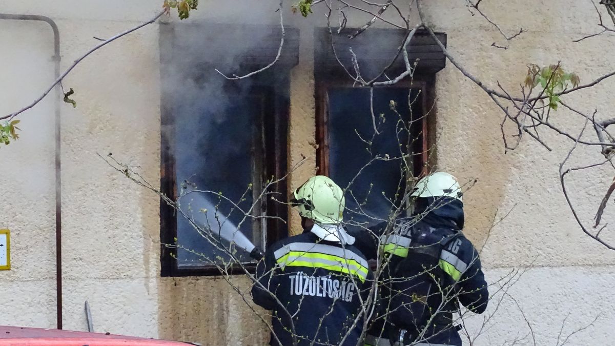 Kétszer is tűzhelyen felejtett étel okozott kis híján tragédiát