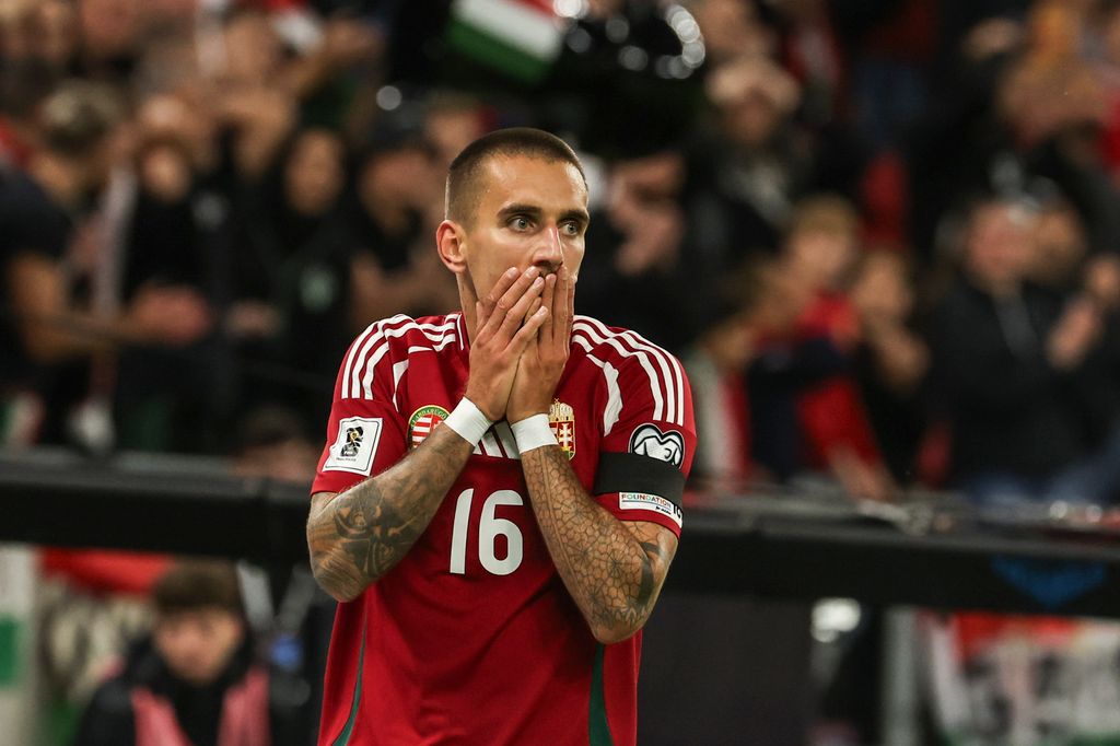 Magyarország - Örményország VB selejtező a Puskás Arénában, magyar válogatott mérkőzés,  