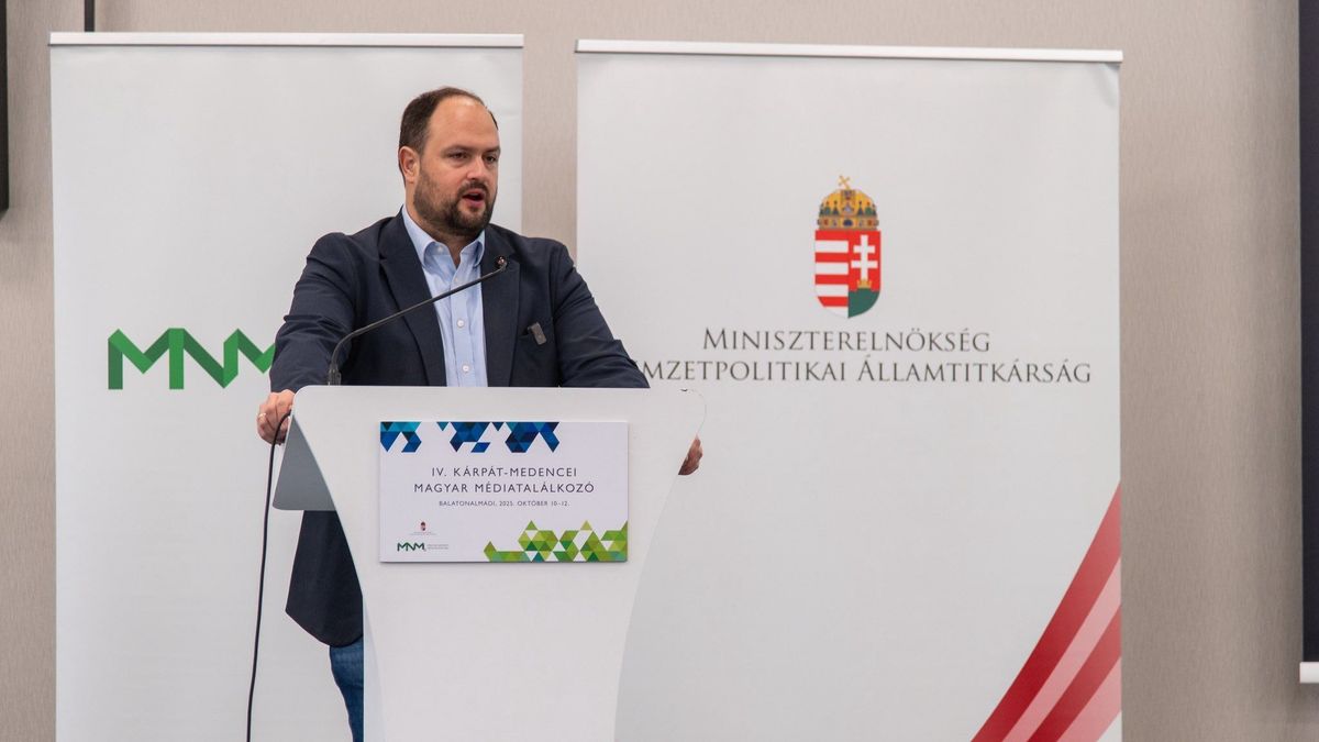State Secretary: Tisza Party Targets Ethnic Hungarians