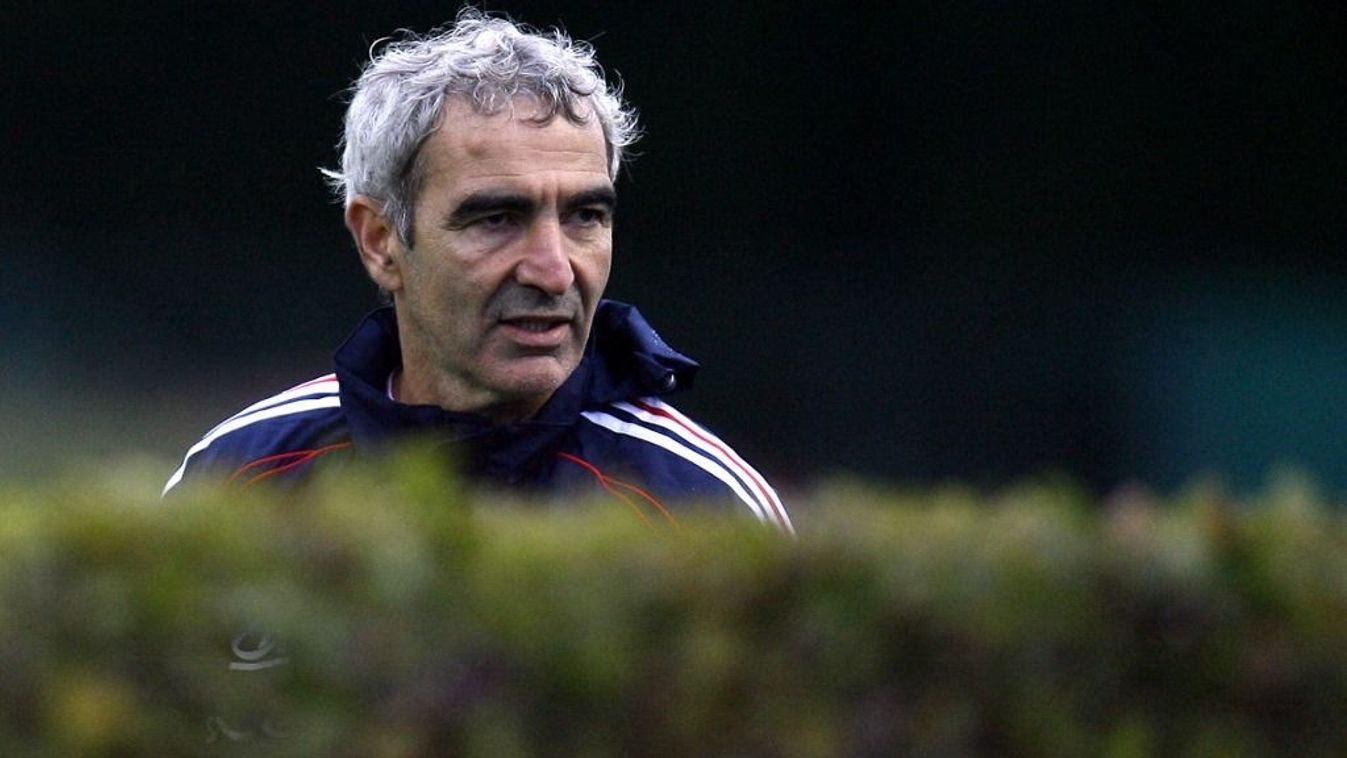 Raymond Domenech