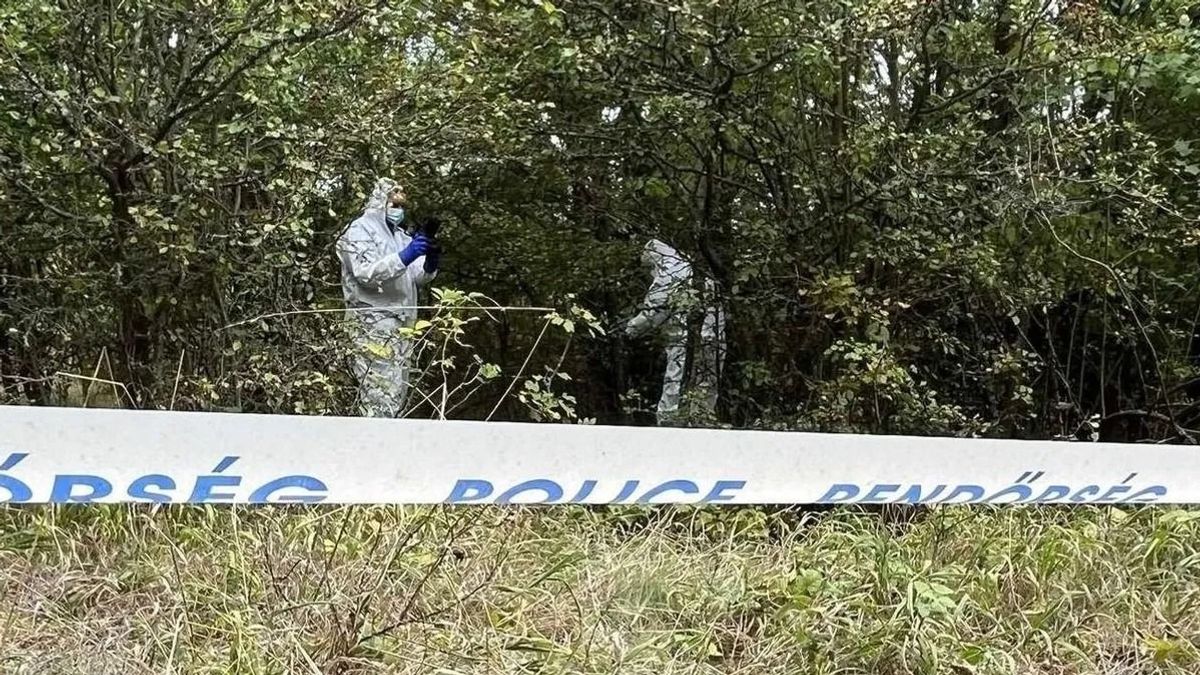 Perdöntő bizonyíték? Sokkoló részletek derültek ki Kaszás Nikolett halálával kapcsolatosan