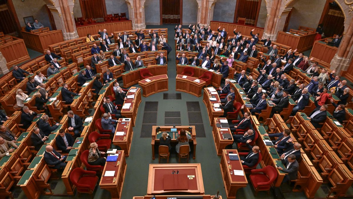 Elég a politikai erőszakból, fellép a parlament