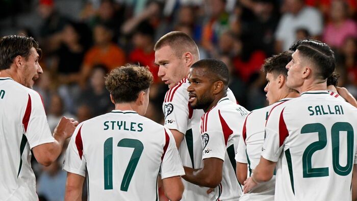 Labdarúgó vb-selejtezők - Portugália-Magyarország