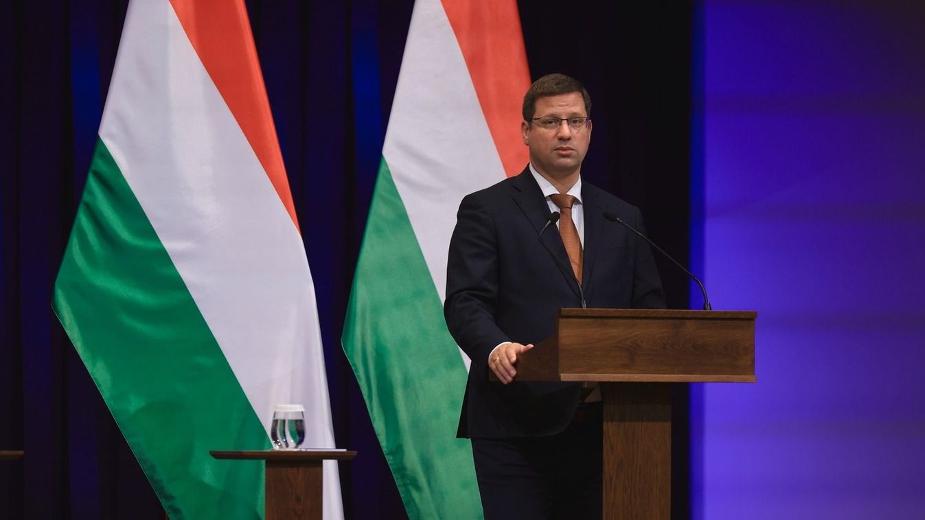 Kormányinfo

Havran Zoltán