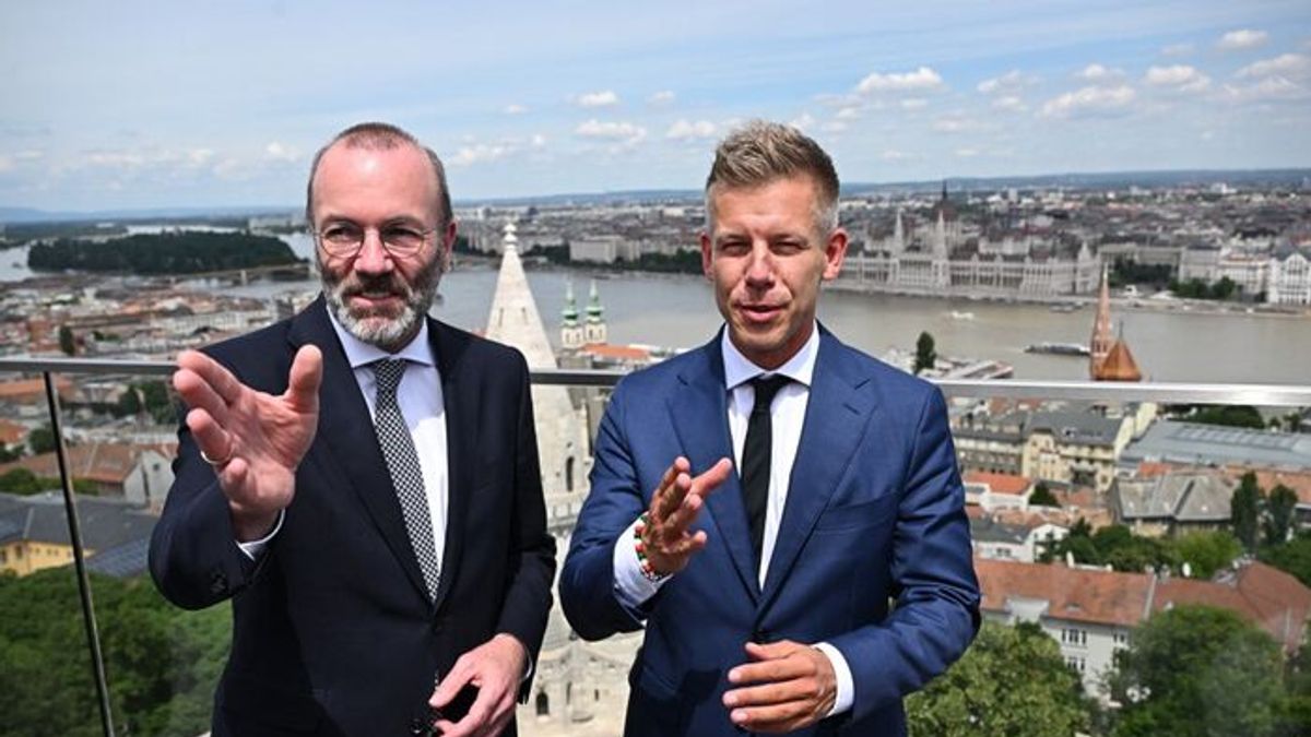 EP to Decide Today on the Immunity of Peter Magyar, laria Salis