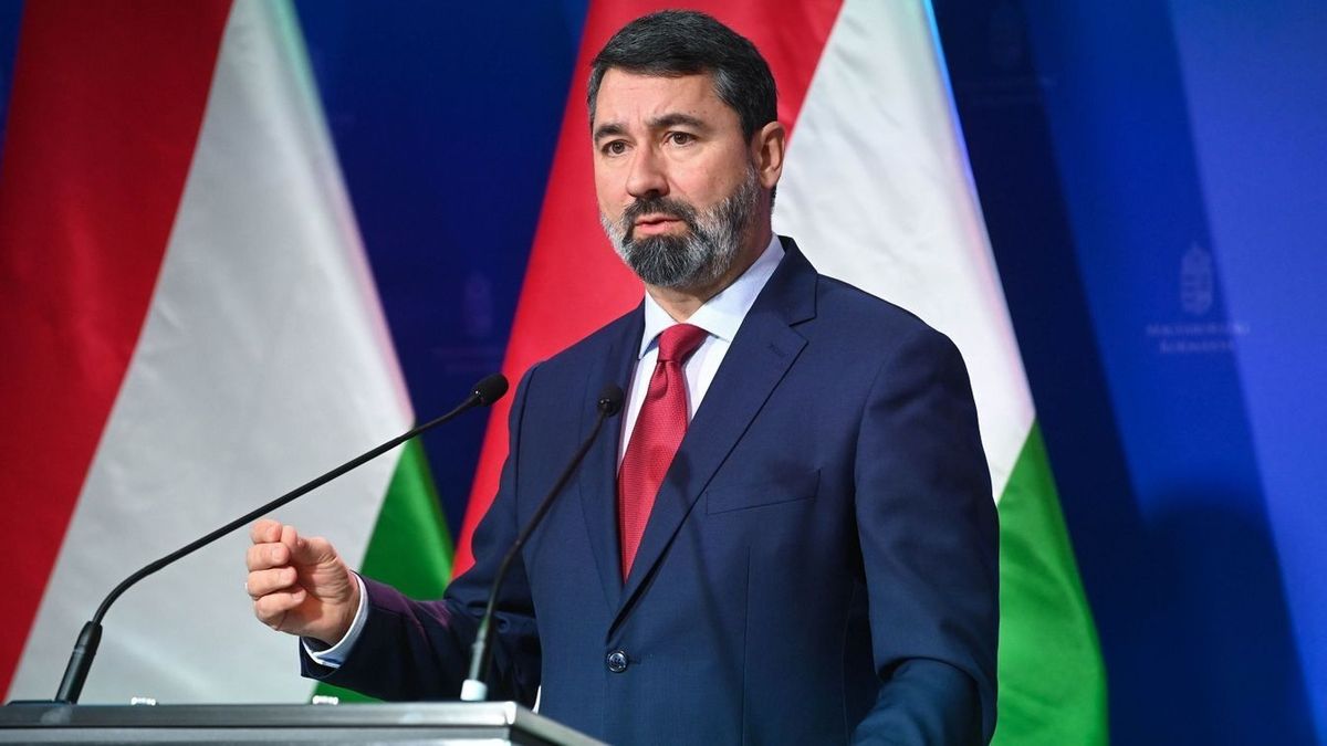 Hidvéghi Balázs elárulta, mi számít vörös vonalnak + videó