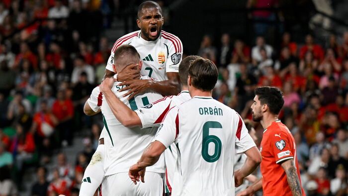 Labdarúgó vb-selejtezők - Portugália-Magyarország