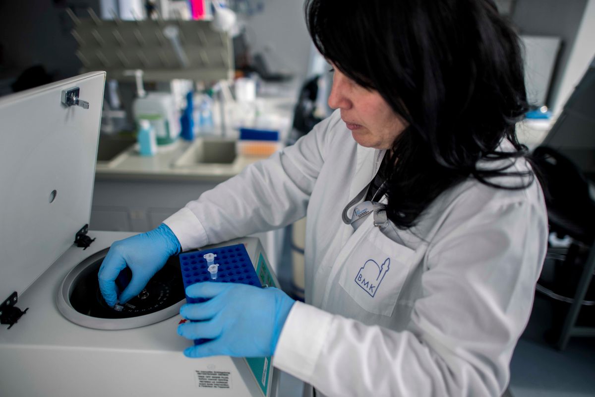 Pécs, 2020. február 7.
A Pécsi Tudományegyetem Szentágothai János Kutatóközpont virológiai kutatócsoportjának munkatársa mintákat helyez egy mikrocentrifugába a központ laboratóriumában Pécsen 2020. február 7-én. A kutatócsoport az állatokról emberekre terjedő úgynevezett virális zoonózisokat vizsgálja. Elsősorban rágcsálók, denevérek vagy akár a szúnyogok és kullancsok által terjesztett betegségek a fő kutatási területük. A koronavírus okozta betegség is egy zoonózis, így természetesen a csoport fel van készülve a jövőbeli kutatásokra a vírussal. A vírus kimutatására alkalmas módszer is a kezükben van, azonban diagnosztikai vizsgálatot nem végez a laboratórium. Ezt csak akkor teszi, ha az ország járványügyi helyzete ezt megkívánja és az esetlegesen szükséges segítségre külön felkérést kap a járványügyi hatóságtól, azaz a Nemzeti Népegészségügyi Központtól.
MTI/Sóki Tamás