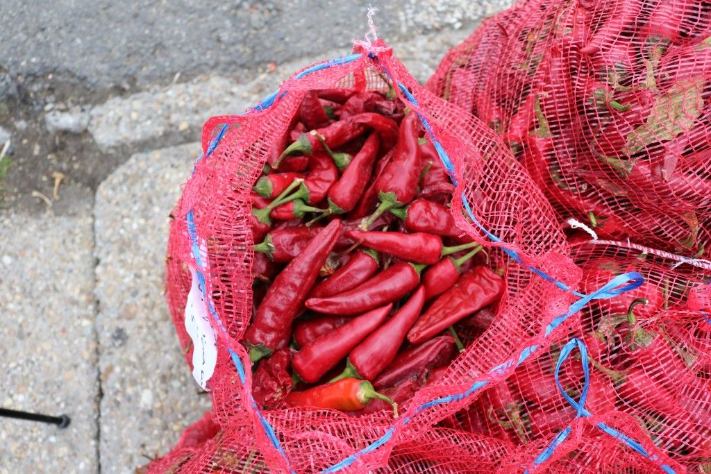fűszerpaprika