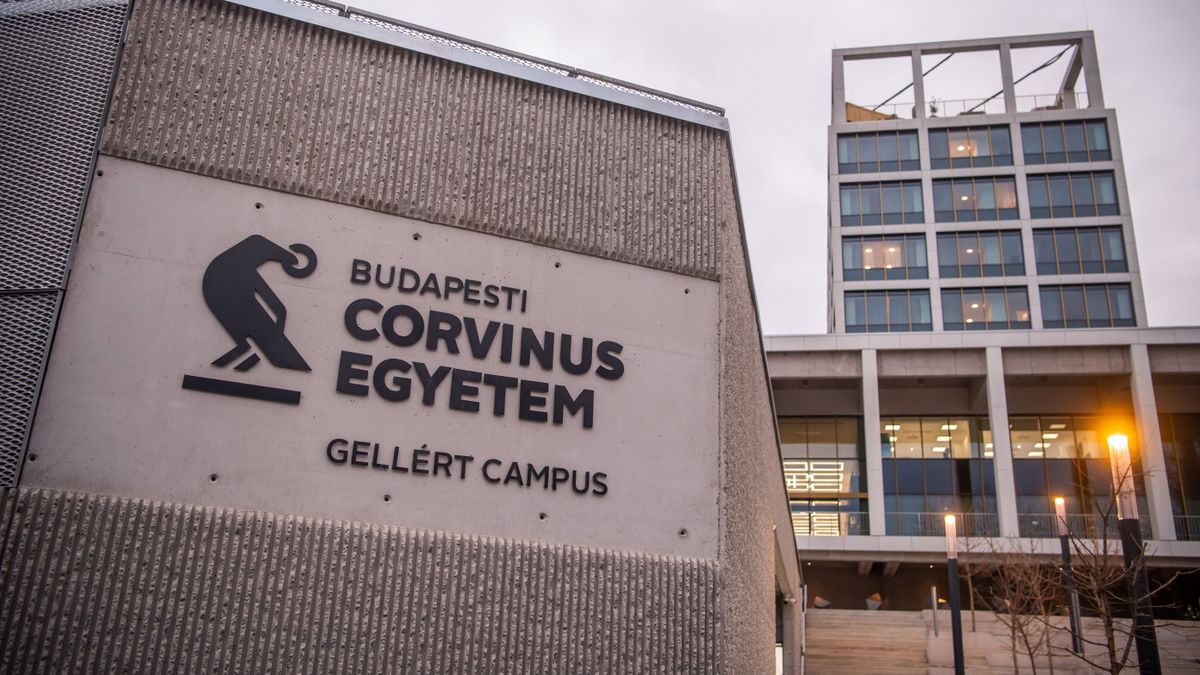 Jogosan rúgták ki a Corvinus volt docensét