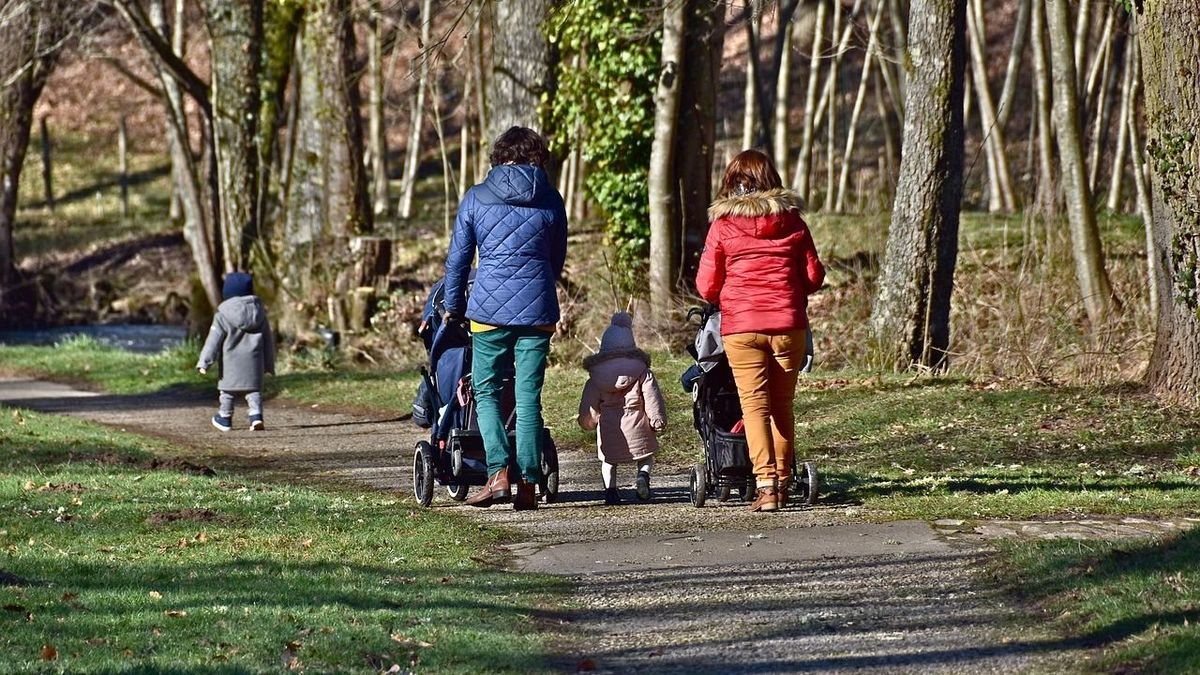 Nézőpont Intézet: A választók négyötöde örül a többgyermekes anyák adómentességének