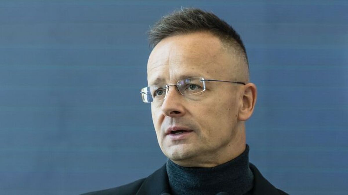 Hungary FM: Brussels' Puppet Government Would Support Ukraine, Abolish Utility Price Cuts