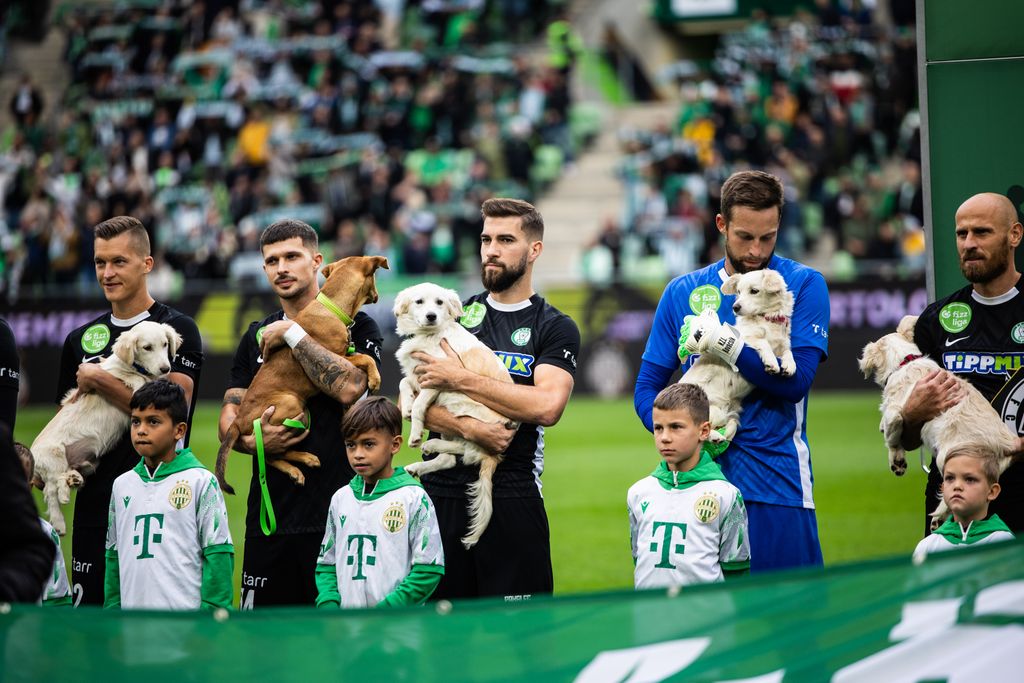 FTC - Paks mérkőzés NB1
Ferencvárosi TC Fradi