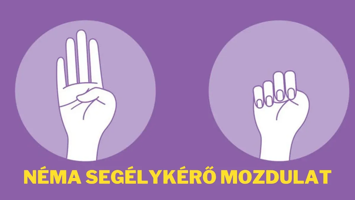 A világszerte ismert segélykérés mentette meg a nőt