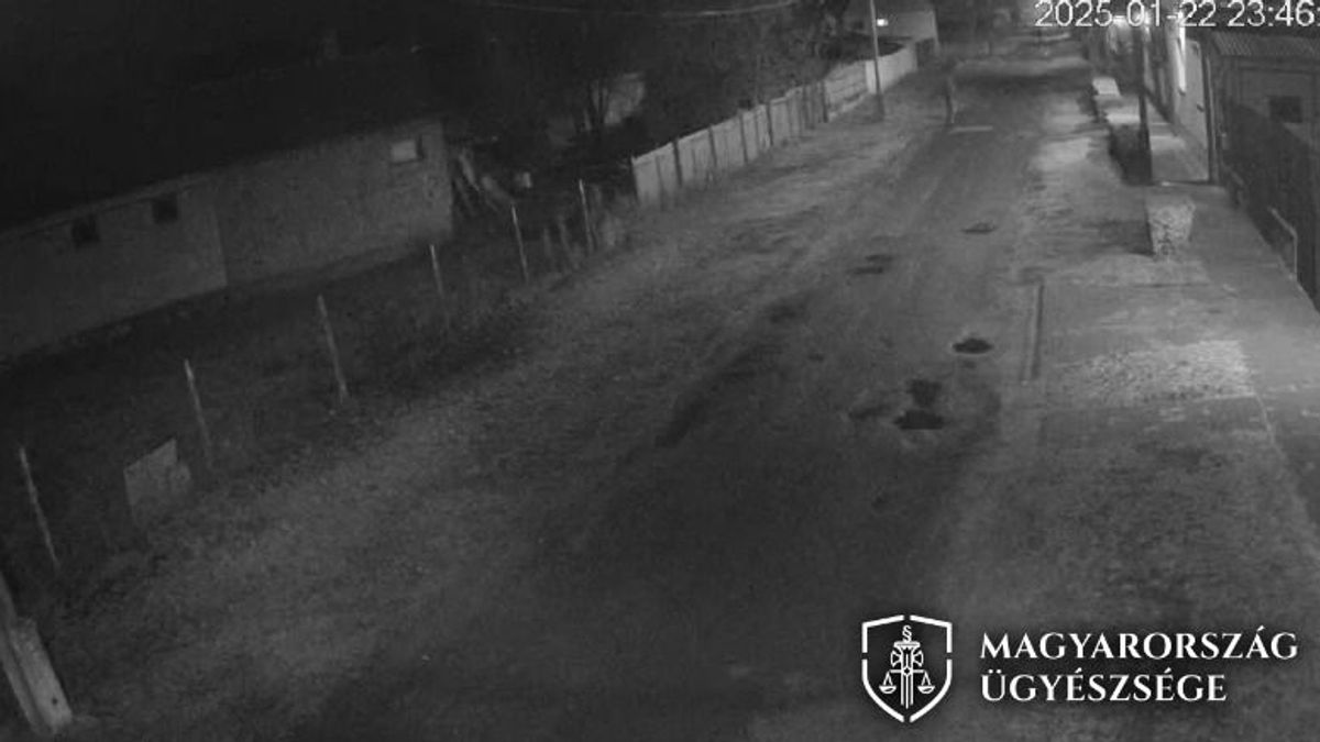 Társat hazudott magának a tolvaj, de nem azért, mert túl magányosnak érezte magát lopás közben