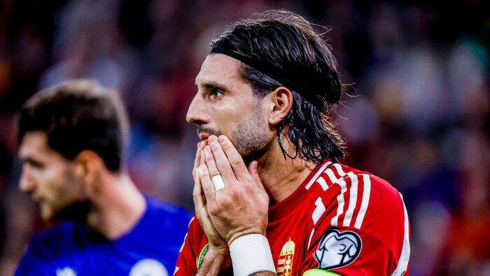 Magyarország - Örményország VB selejtező a Puskás Arénában, magyar válogatott mérkőzés,