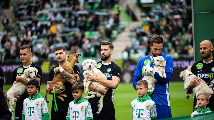FTC - Paks mérkőzés NB1
Ferencvárosi TC Fradi